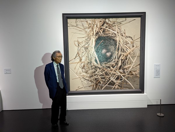 真作保証】野田弘志 「梅」 鉛筆画 ※送料着払いの落札情報詳細 - Yahoo 